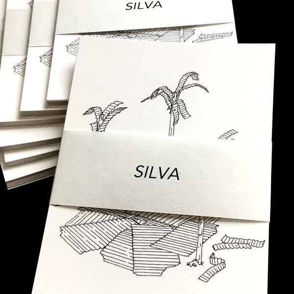 cartes silva 01